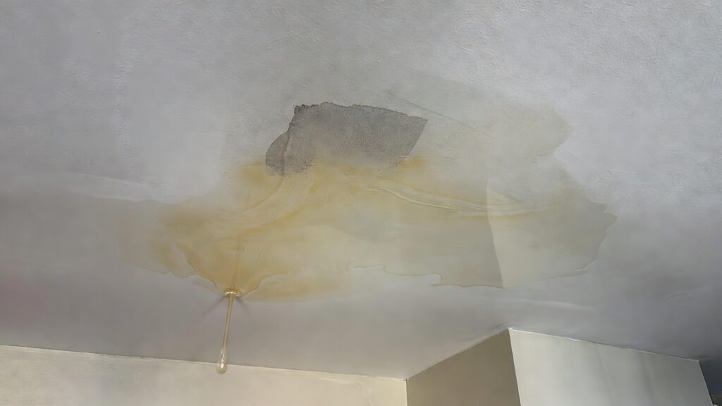 Hidden moisture damage above ceiling from roof leak