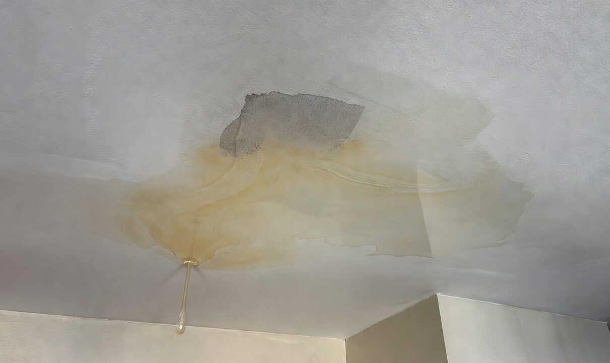 Hidden moisture damage above ceiling from roof leak
