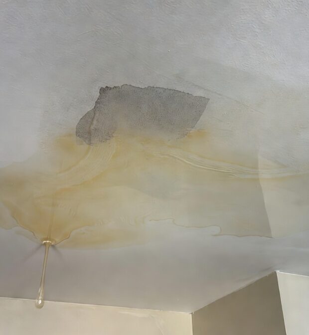 Hidden moisture damage above ceiling from roof leak